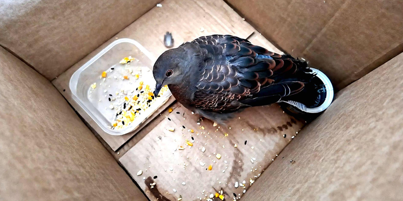 690168a7be472.jpg 690168a7be472.jpg