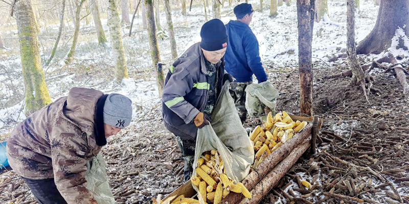 695db0c723caa.jpg 695db0c723caa.jpg